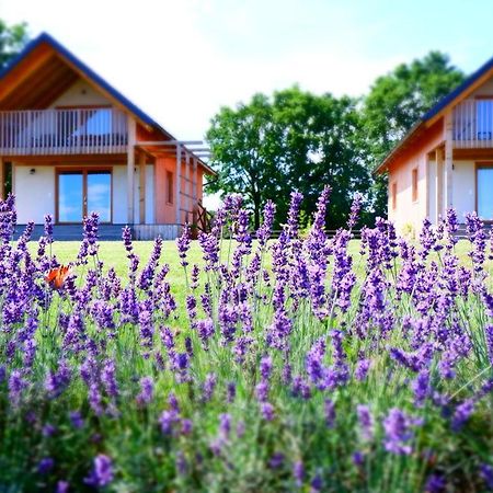 Ferienwohnung Hisa Iz Volne Moravske Toplice Exterior foto