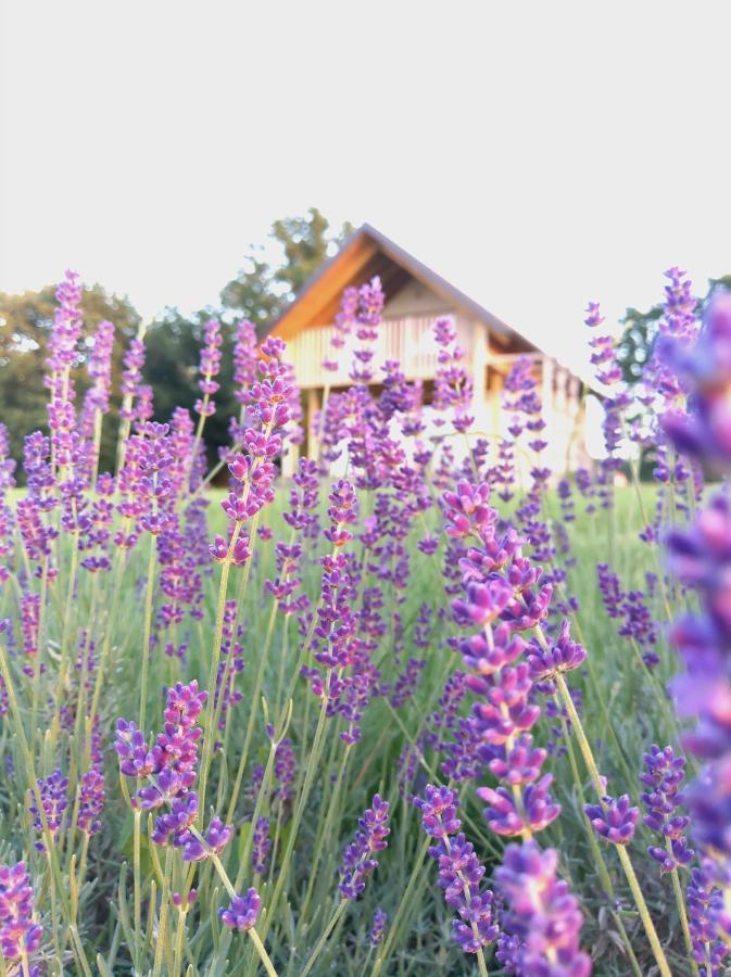 Ferienwohnung Hisa Iz Volne Moravske Toplice Exterior foto